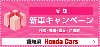 banner_newcar-campaign