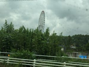 梅雨が本格的になってまいりました｡(>_<)